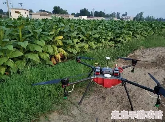 一级黄色片大全：最新进展与行业动态分析，探讨内容监管与观众需求的变化趋势
