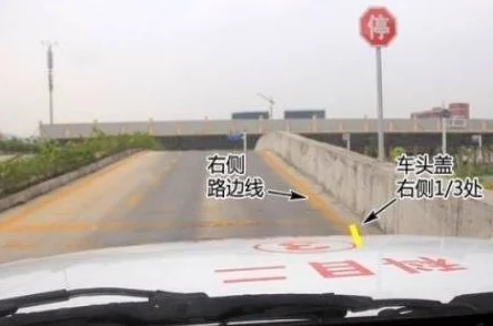 一指挖洞的手势技巧：掌握这一独特手势，轻松提升你的沟通能力与表达效果，让交流更加生动有趣！