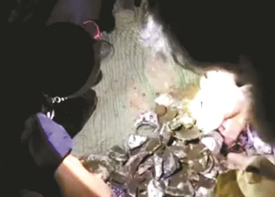 美女抠逼喷水事件最新进展：相关人员已被警方拘留，案件正在进一步调查中