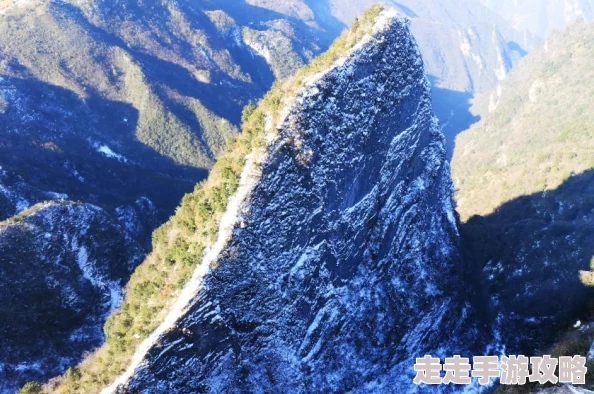 心动小镇游戏攻略：详细解析礼花获取方法与途径指南