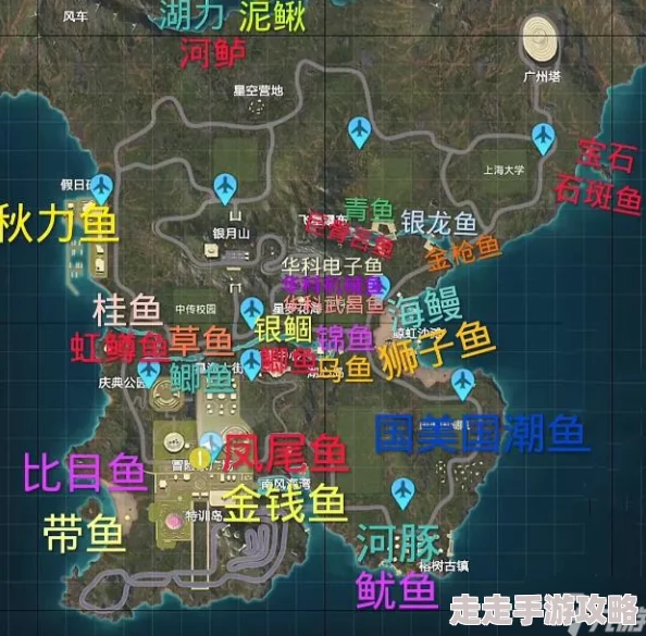 和平精英绿洲世界：全面解析鱼竿获取位置与详细方法指南
