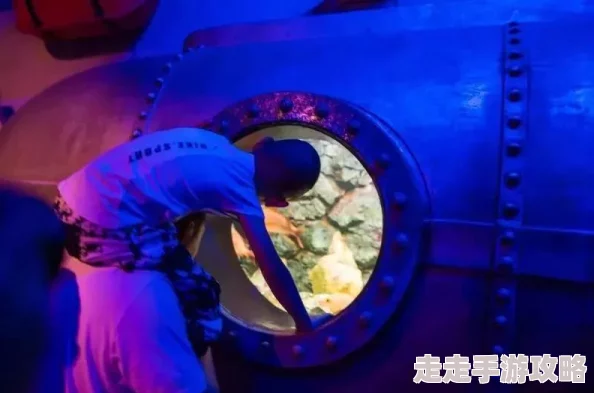 奇妙双生视界：尽情畅游充满奇幻与惊喜的神秘双生世界