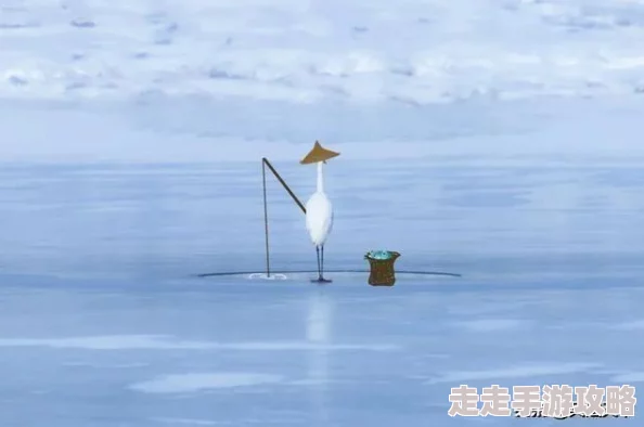 探寻奇妙江湖如梦：高效获取珍稀经验丹的绝妙方法