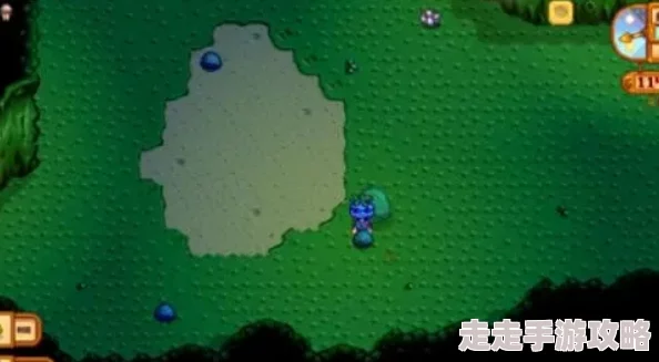 星露谷物语中寻觅神秘的冰冻史莱姆：详细位置介绍