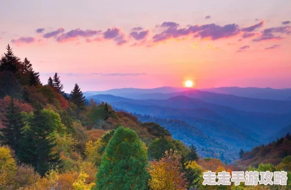 九九久久亚洲综合久久久网友评价这部作品内容丰富多样，画面精美，给人带来了很好的视觉享受，是值得一看的佳作