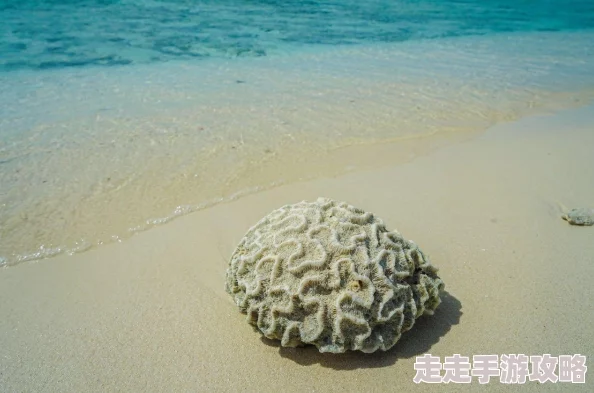 黄色高清无遮挡网友评价这部作品画质极佳色彩鲜艳让人眼前一亮情节紧凑引人入胜值得一看