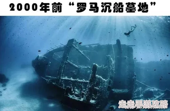 欧美重口慎入极限扩张自由之子