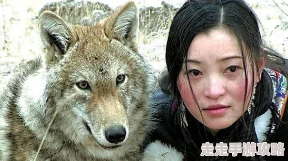 国产精品狼色在线观看视色送赞雪橇犬