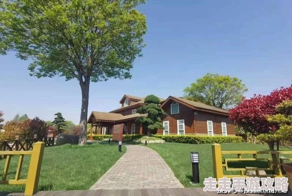 一级大片在线观看请神灯1