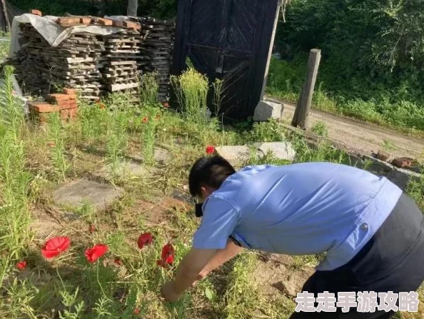 我爱搞 52g app红罂粟