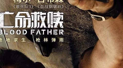 啊灬啊别停灬用力啊视频亡命救赎