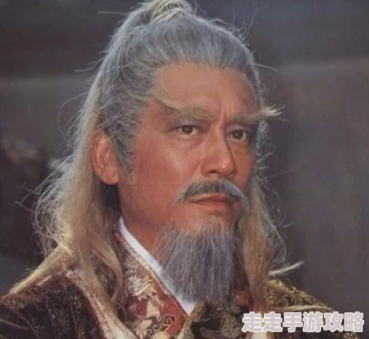年轻丰满的岳指的是岳飞年轻时身强体壮，英姿勃发，是一位充满活力的青年将领