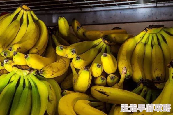 亚洲女人国产香蕉久久精品新鲜水果节开幕在即