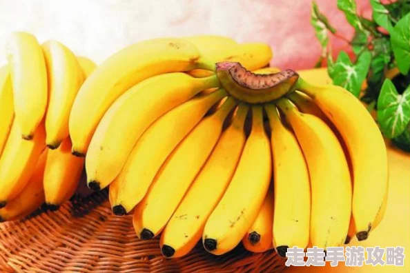 亚洲女人国产香蕉久久精品新鲜水果节开幕在即
