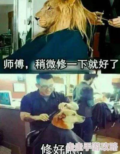 热点服务一个残忍的理发师技术差评，态度恶劣，真是个“理发杀手”