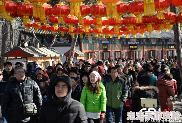 videos中国春节期间各地举办丰富多彩的民俗活动吸引游客