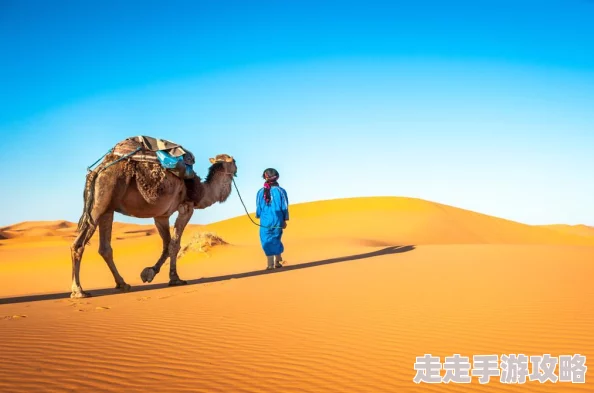 都是怎么c自己对象的努力追求梦想的过程让我们更加坚强和自信相信自己能创造美好未来
