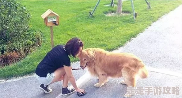 男人与雌性宠物交顾少，您夫人又又又飞升了＂网友评价：剧情跌宕起伏，角色刻画生动，值得一看