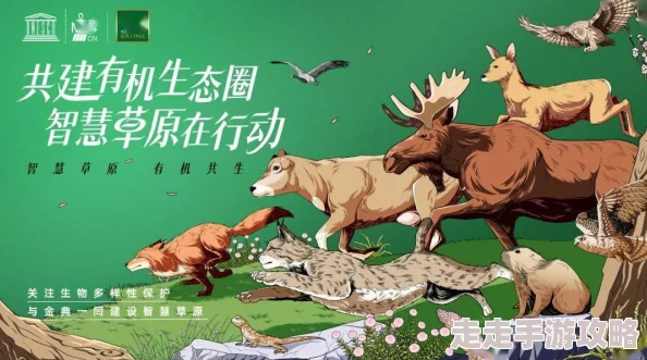 最新zooskoovideos中国让我们一起关注自然保护与动物福利，共同创造美好未来