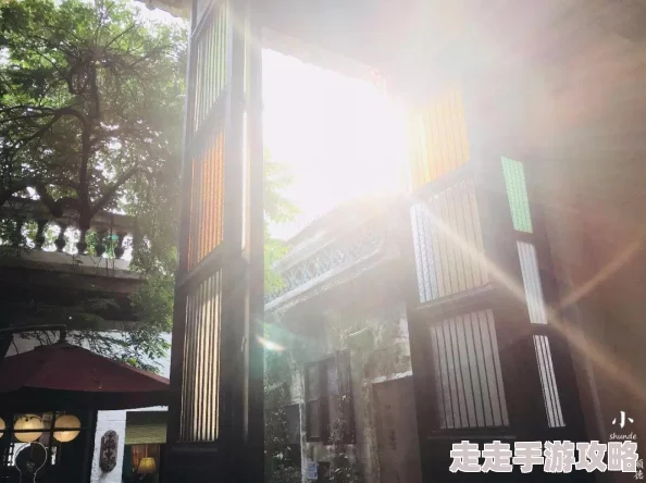 重生之星光璀璨故事情节引人入胜，角色发展令人期待，粉丝热议剧情走向。