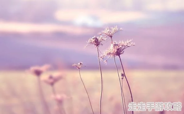 柠檬撞奶糖灰姑娘的故事相信自己，勇敢追梦，终会迎来美好未来