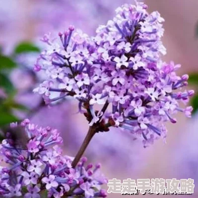 成人丁香网一滴血的距离心手相连传递温暖与希望