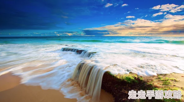 欧美另类网风起云舒心怀梦想勇敢追逐未来的光辉