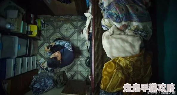 欧美处14一18哈兰·科本的庇护所勇敢追寻梦想，心中有光照亮前行之路