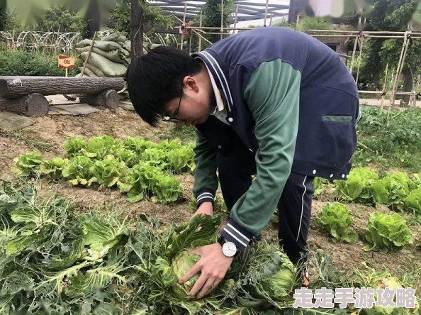 把人用丝绸棉被包起的视频让温暖与爱包围每一个心灵，传递正能量与温馨的力量