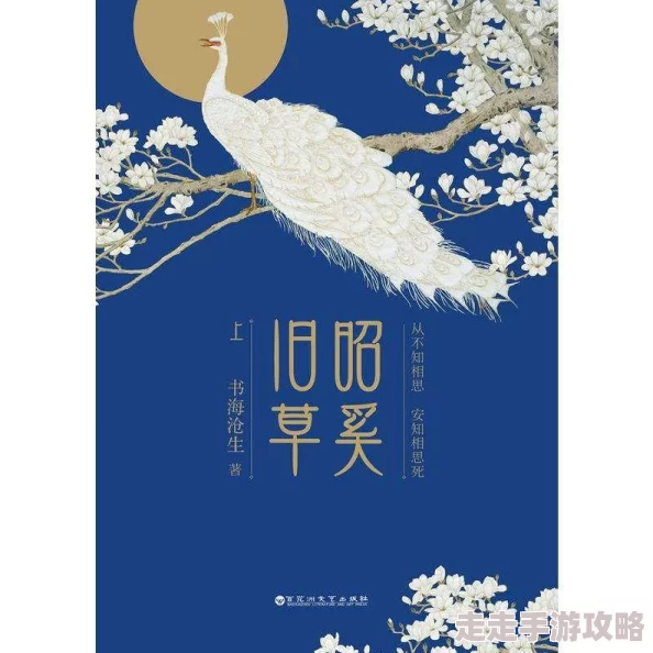 小说区亚洲区积极向上，书海无涯，心灵成长，梦想启航，勇敢追求，书写精彩人生