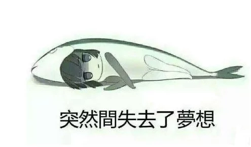 镇魔曲手游灵兽选择及培养全攻略，揭秘隐藏惊喜：最佳灵兽培育秘籍大放送！