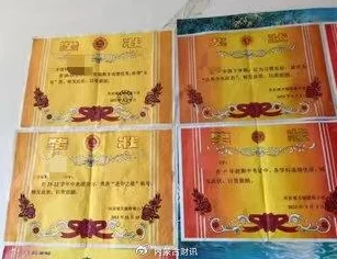h文高辣txt勇敢追梦积极向上生活充满希望