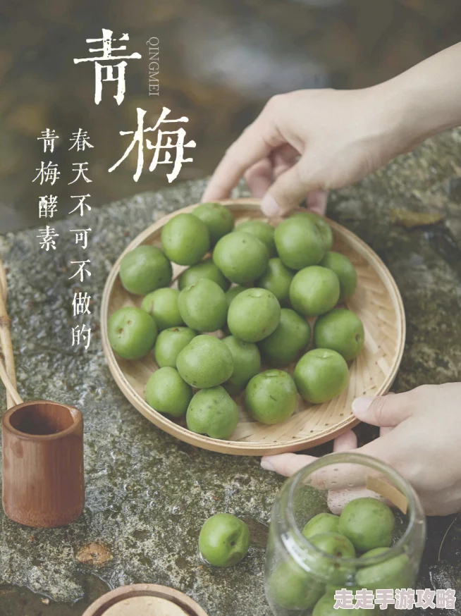 青梅不经c1V1网友称酸酸甜甜就是青春的味道令人回味无穷