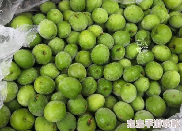 青梅不经c1V1网友称酸酸甜甜就是青春的味道令人回味无穷