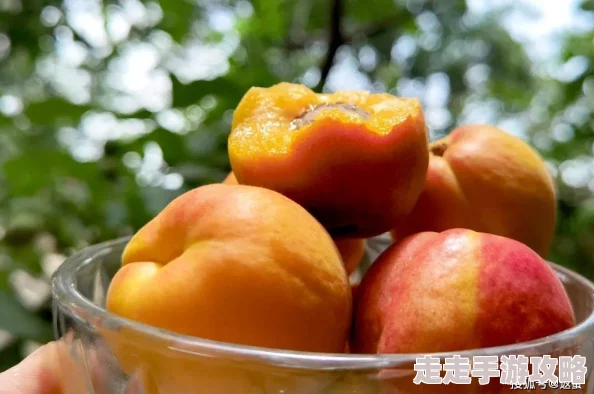 蜜挑成熟时网友称口感香甜软糯回味无穷值得一试
