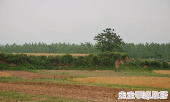 地下城与勇士起源：揭秘古城遗物的强大作用与获取爆料