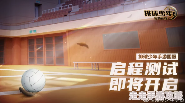 排球少年新征程:揭秘训练馆玩法攻略与爆料信息 排球少年新征程:揭秘训练馆玩法攻略与爆料信息
