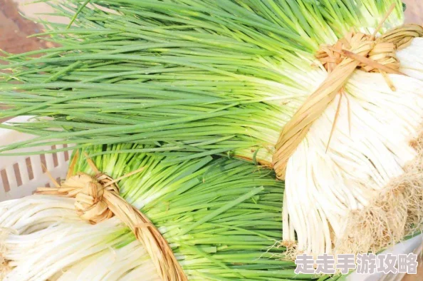 霓虹危城成就总汇大揭秘:全成就达成攻略与隐藏爆料信息 霓虹危城成就总汇大揭秘:全成就达成攻略与隐藏爆料信息