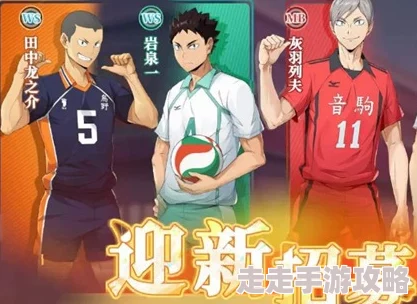 排球少年:新征程爆料!新手池精选角色,选哪个?推荐指南! 排球少年:新征程爆料!新手池精选角色,选哪个?推荐指南!