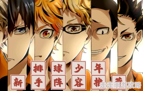 排球少年:新征程爆料!新手池精选角色,选哪个?推荐指南! 排球少年:新征程爆料!新手池精选角色,选哪个?推荐指南!