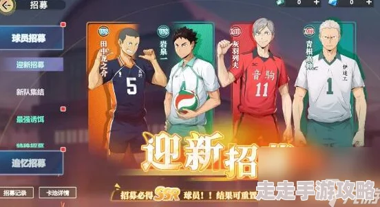 排球少年:新征程爆料!新手池精选角色,选哪个?推荐指南! 排球少年:新征程爆料!新手池精选角色,选哪个?推荐指南!