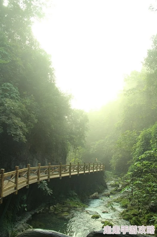 东南亚10一12仙踪林的旅游景点，隐藏着不为人知的绝美秘境和震撼体验，快来揭开它们的神秘面纱！