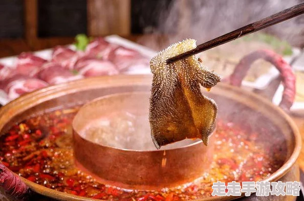 美女吃，引发网友热议：美食与颜值的完美结合，究竟是什么让她如此吸引眼球？