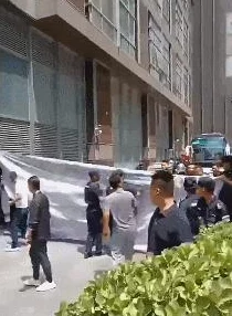 美女无遮挡免费视频：最新动态曝光，高清画质引发热议，网友纷纷点赞评论！