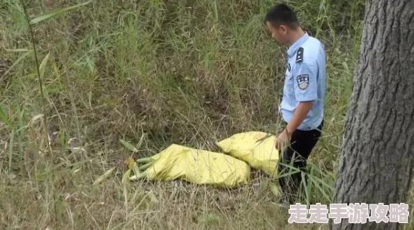 岳肥白熟欲荡乱玉米地，警方已介入调查，相关责任人被拘留，案件进展引发社会广泛关注
