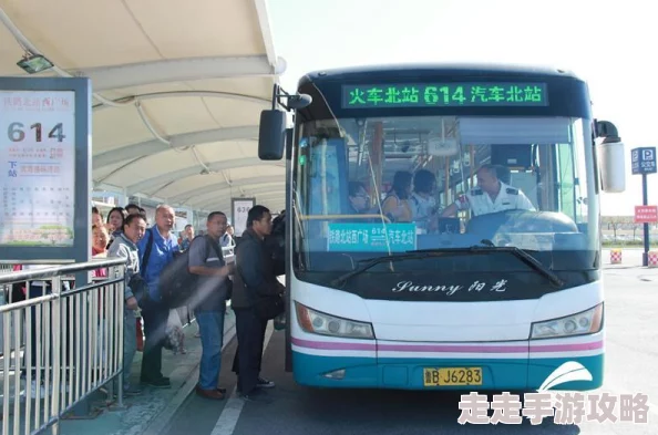 公交车服务提升：新线路开通，方便市民出行，预计每日增加客流量20%