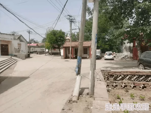国精产品一二伊田园9777：网友热议其品质与口碑，是否真的值得信赖？