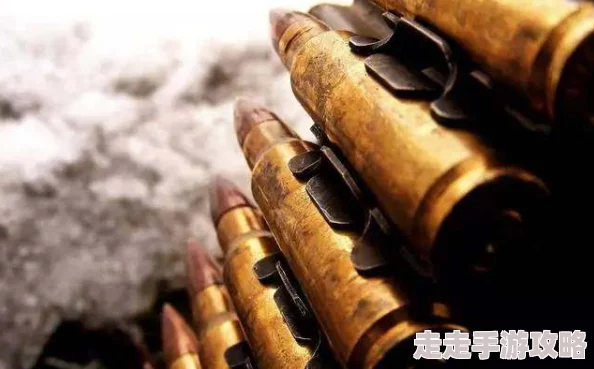一颗八年前的子弹：绽放穿越时空的枪膛浪漫，铭记往昔烽火岁月