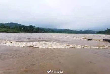 好大好涨水好多好想要：近期水位持续上涨，影响周边居民生活与交通，相关部门已启动应急预案