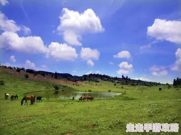曰本A级片：最新动态与市场趋势分析，探讨其在全球影视行业中的影响力与发展方向